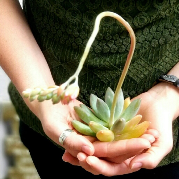 "THANK YOU" for shopping my closet! 🍃 - Picture 1 of 1